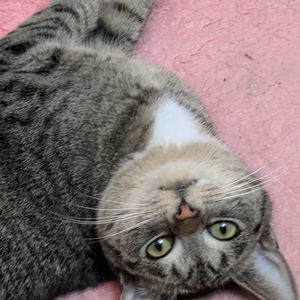 Meet your Posher, Geri